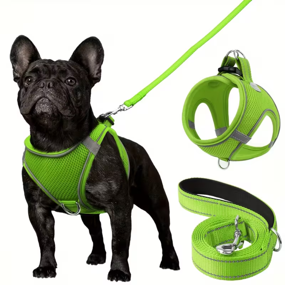 Adjustable Dog Harness & Leash Set – Reflective, Step-In Design for Easy Control