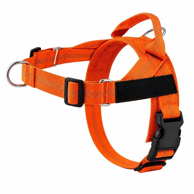 Breathable Mesh No-Pull Dog Harness – Stop Leash Pulling Instantly