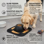 2-in-1 Slow Feeder Dog Bowl with Removable Lick Mat