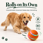 WagOrbit™ - Self-Rolling Interactive LED Dog Ball