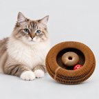 Kitty Twist™ – Interactive Cat Enrichment Toy
