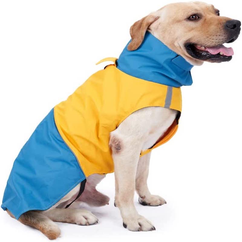 Dog Winter Jacket – Windproof & Waterproof Warm Coat for Cold Weather Outdoor Walks