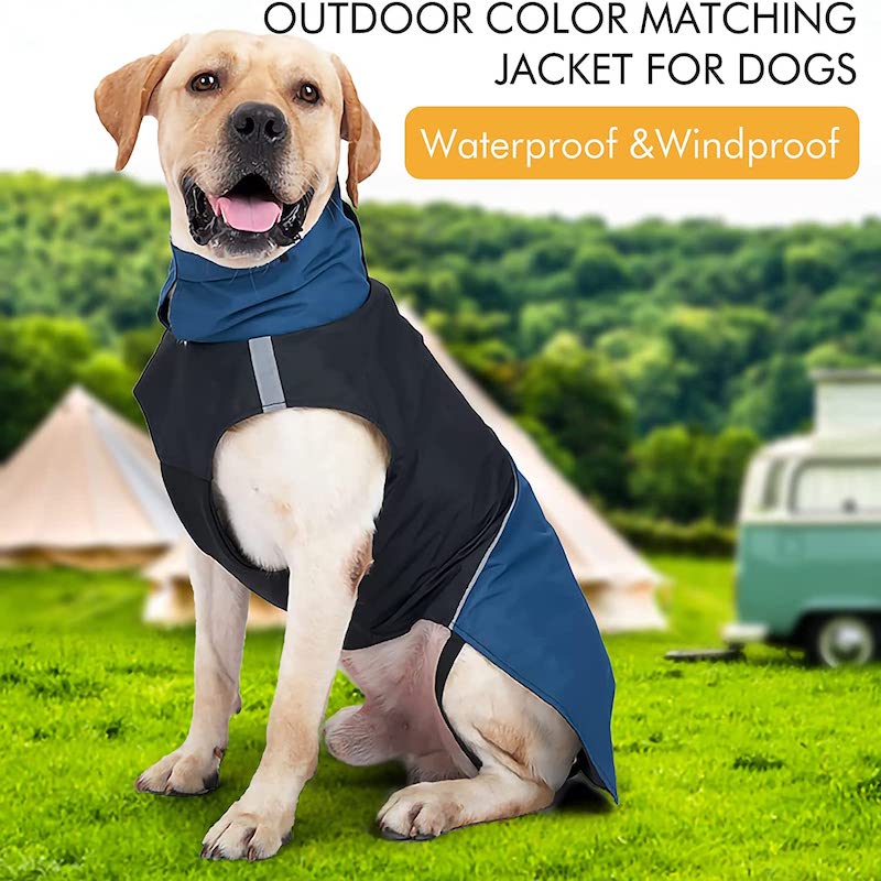 Dog Winter Jacket – Windproof & Waterproof Warm Coat for Cold Weather Outdoor Walks