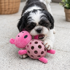 2-in-1 Bear Dog Toy – Squeaky Plush Bear + Dental Chew Ball