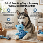 2-in-1 Bear Dog Toy – Squeaky Plush Bear + Dental Chew Ball