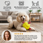 Eco-Friendly Indestructible Dog Ball – Bite-Resistant Tug & Fetch Toy
