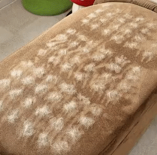 FurSwipe Pro™ – Reusable Pet Hair Removal Glove