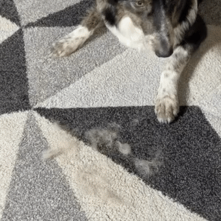 FurSwipe Pro™ – Reusable Pet Hair Removal Glove