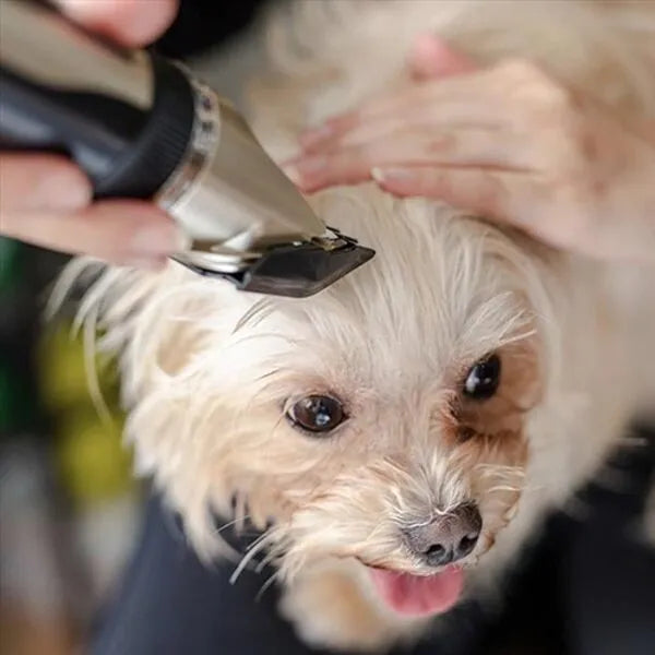 Silent Dog Coat Trimmer Set — Quiet, Stress-Free Grooming at Home