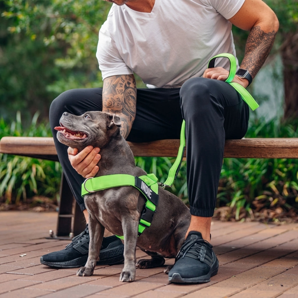 Adjustable Neck & Chafe-Resistant Dog Harness for Small Dogs – No-Pull, Soft Mesh, Easy-Click Buckle