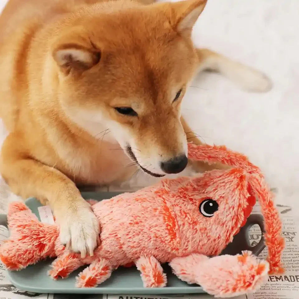 Spring Crab Dog Toy – Bounce, Chase & Play!