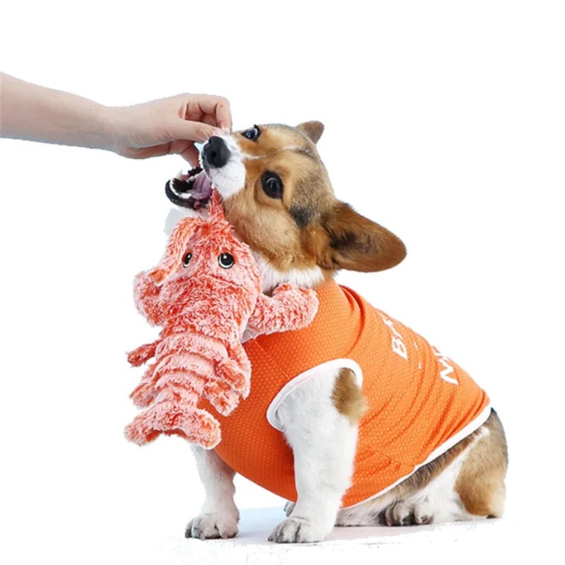 Wiggly Lobster Interactive Dog Toy – Boredom-Busting, Self-Activating Chew Toy