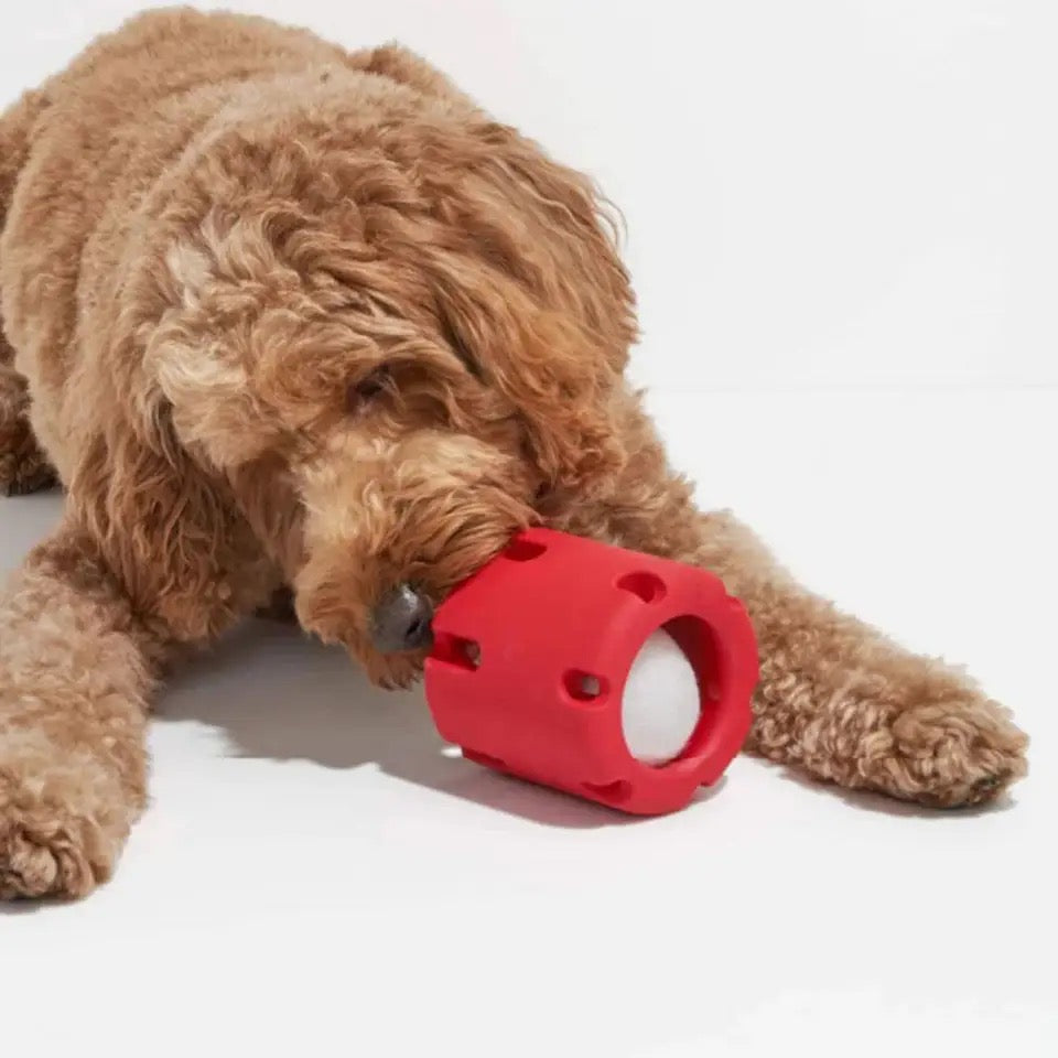 Durable Tennis Ball Tumble Toy for Dogs