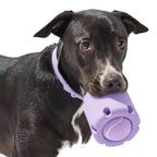 Durable Tennis Ball Tumble Toy for Dogs