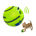 Interactive Dog Voice Ball Toy for IQ Training & Play
