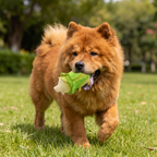 Durable Squeaky Latex Farm Animal Dog Toy – Pig Shape with Fun Squeaker
