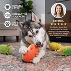 Durable Squeaky Latex Farm Animal Dog Toy – Pig Shape with Fun Squeaker