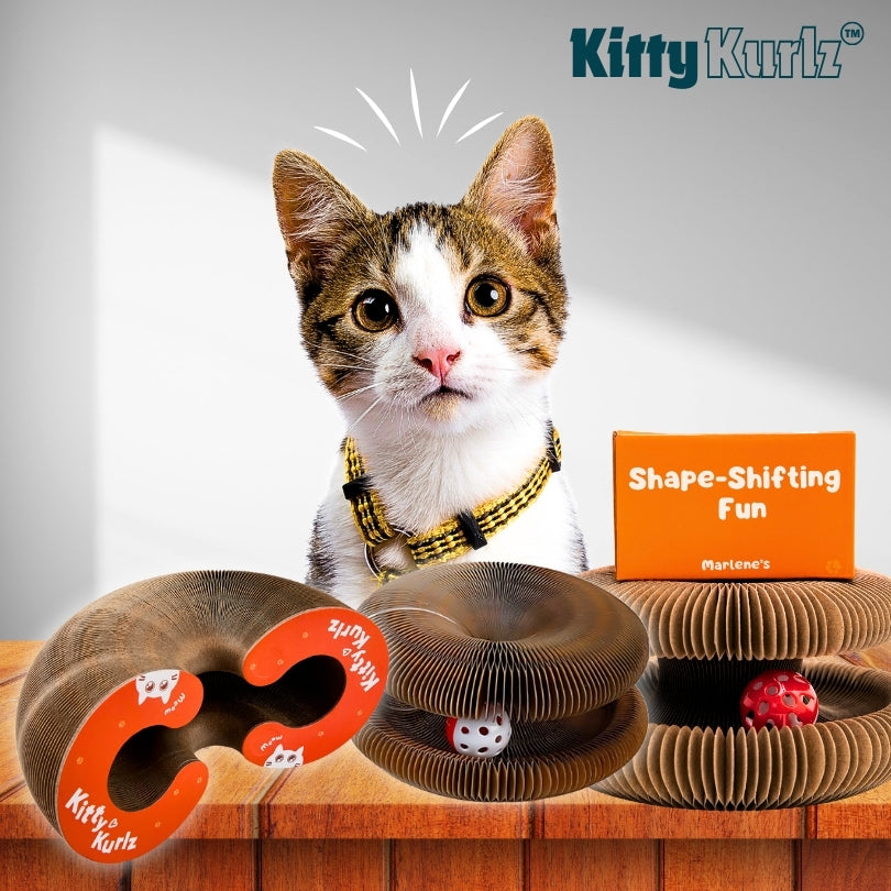 Kitty Twist™