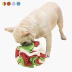 Interactive Sniffing Ball for Dogs – SniffJoy