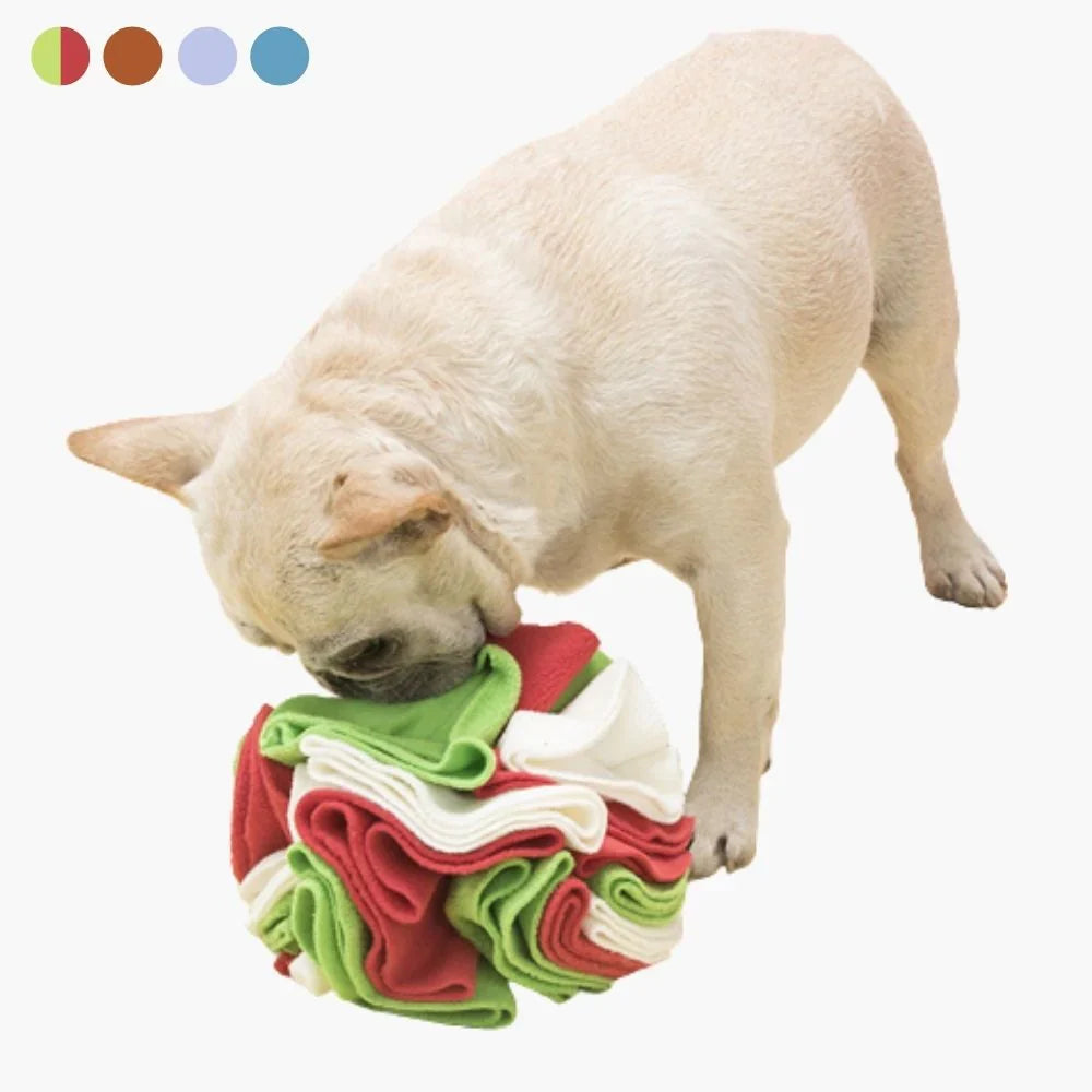 Interactive Sniffing Ball for Dogs – SniffJoy