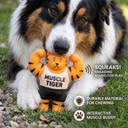 Durable Squeaky Muscle Buddy Dog Toy