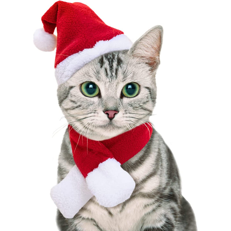 Pet Holiday Hat: Santa, Birthday, Halloween, Christmas, Leprechaun & Sailor Costumes