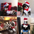 Pet Holiday Hat: Santa, Birthday, Halloween, Christmas, Leprechaun & Sailor Costumes