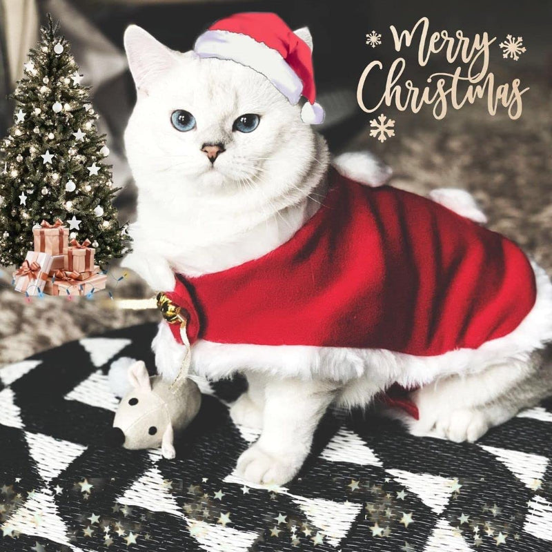 Pet Holiday Hat: Santa, Birthday, Halloween, Christmas, Leprechaun & Sailor Costumes
