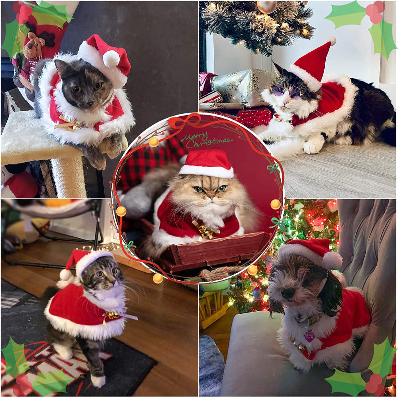 Pet Holiday Hat: Santa, Birthday, Halloween, Christmas, Leprechaun & Sailor Costumes
