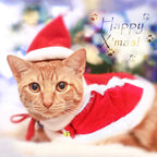 Pet Holiday Hat: Santa, Birthday, Halloween, Christmas, Leprechaun & Sailor Costumes