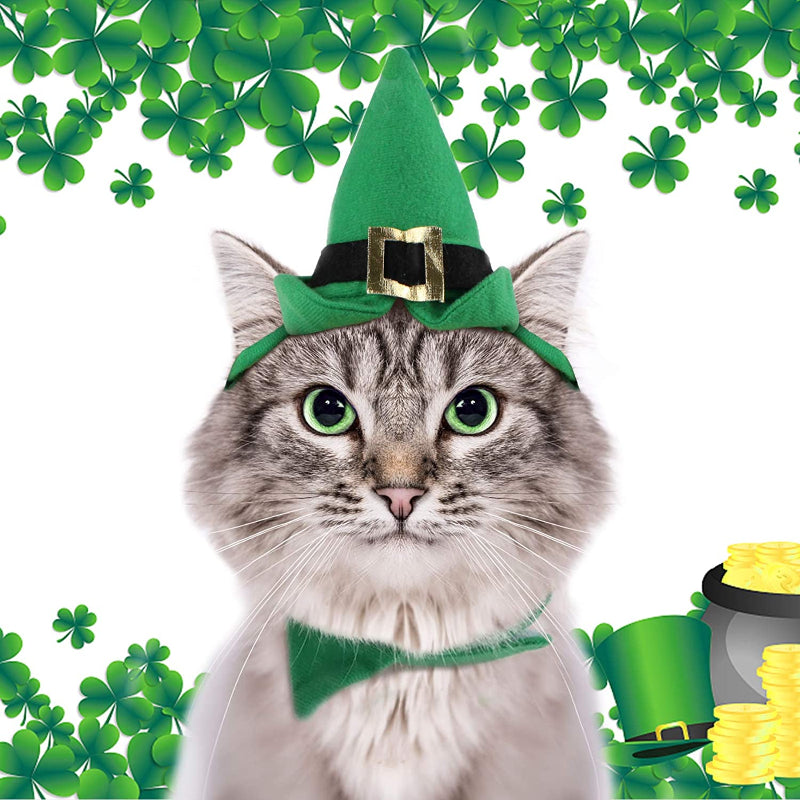 Pet Holiday Hat: Santa, Birthday, Halloween, Christmas, Leprechaun & Sailor Costumes