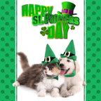 Pet Holiday Hat: Santa, Birthday, Halloween, Christmas, Leprechaun & Sailor Costumes