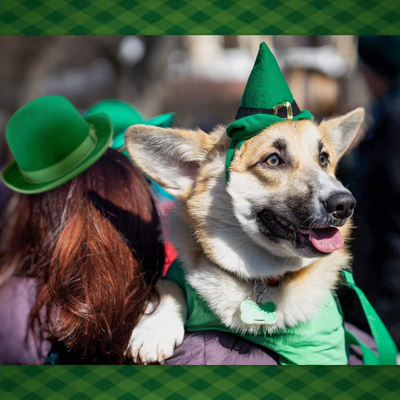 Pet Holiday Hat: Santa, Birthday, Halloween, Christmas, Leprechaun & Sailor Costumes