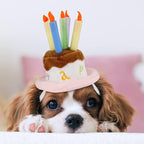 Pet Holiday Hat: Santa, Birthday, Halloween, Christmas, Leprechaun & Sailor Costumes