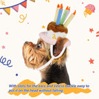 Pet Holiday Hat: Santa, Birthday, Halloween, Christmas, Leprechaun & Sailor Costumes