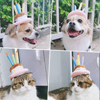 Pet Holiday Hat: Santa, Birthday, Halloween, Christmas, Leprechaun & Sailor Costumes
