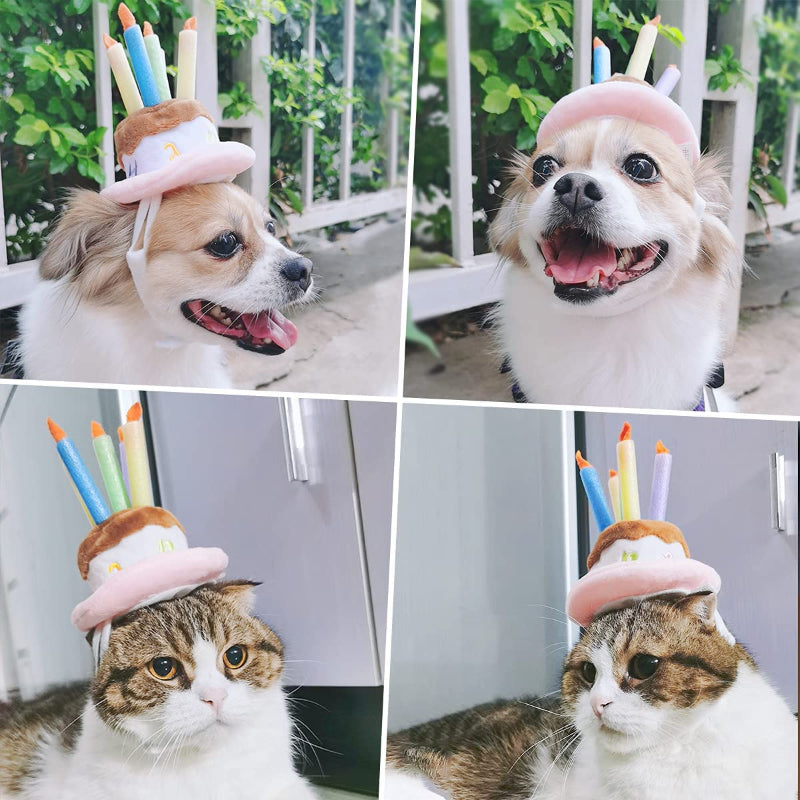 Pet Holiday Hat: Santa, Birthday, Halloween, Christmas, Leprechaun & Sailor Costumes