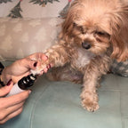 Silent Groom Pro – Ultra-Quiet Pet Grooming Tool