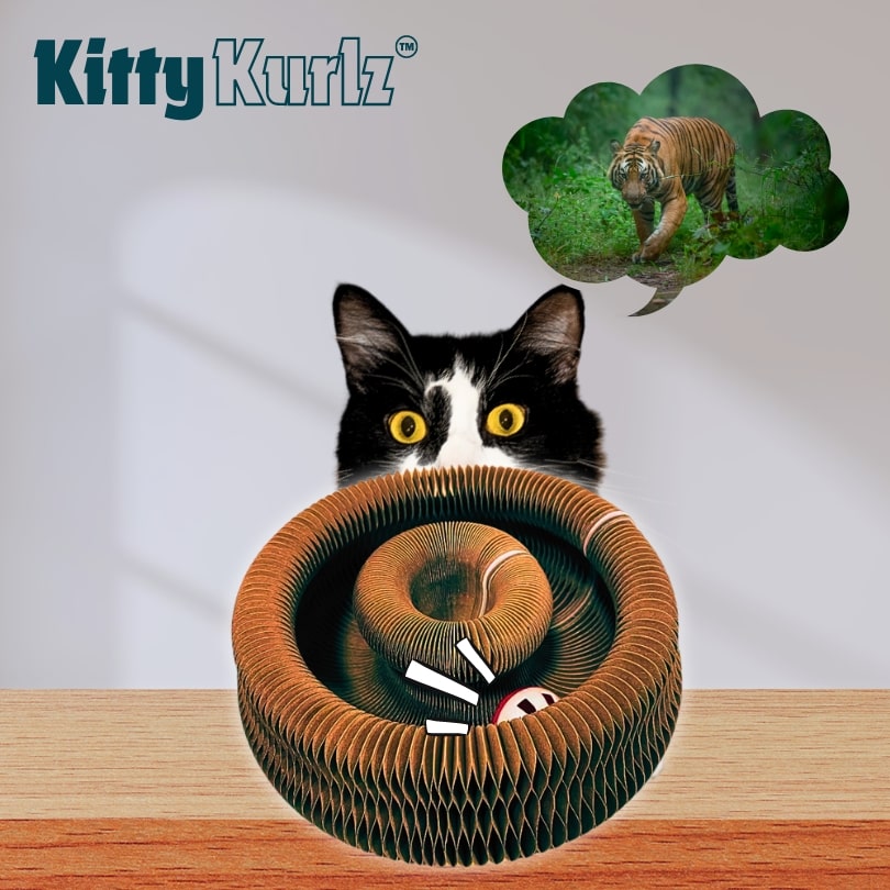 Kitty Twist™