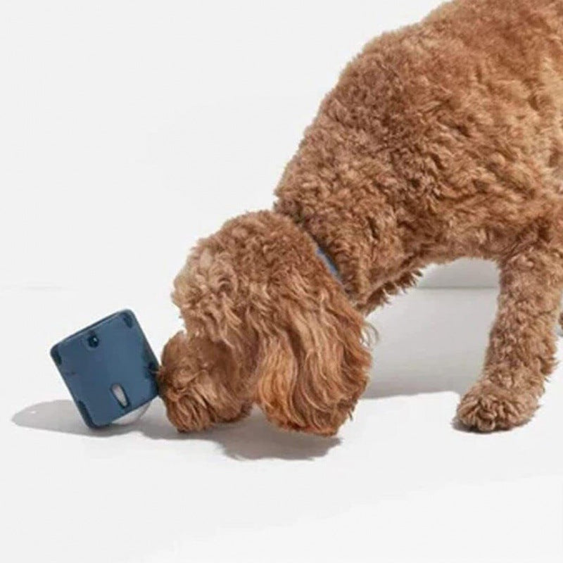 Durable Tennis Ball Tumble Toy for Dogs