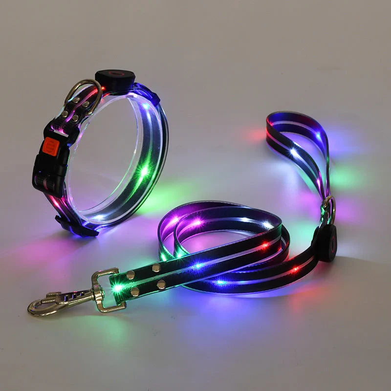 LED Dog Collar & Leash Set – NightBright (Glow-in-the-Dark Safety Gear for Dogs)