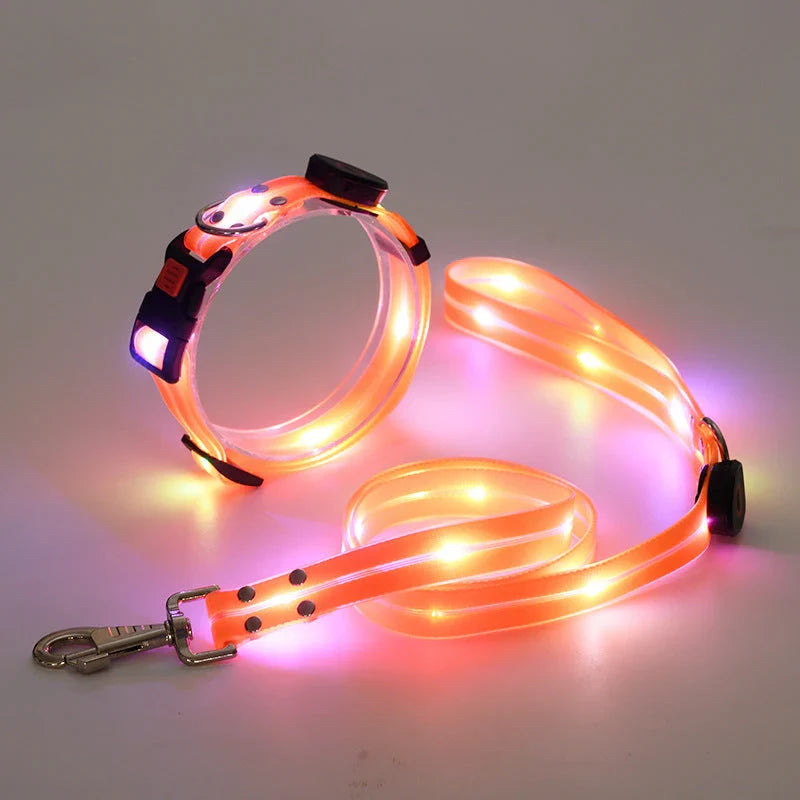 LED Dog Collar & Leash Set – NightBright (Glow-in-the-Dark Safety Gear for Dogs)