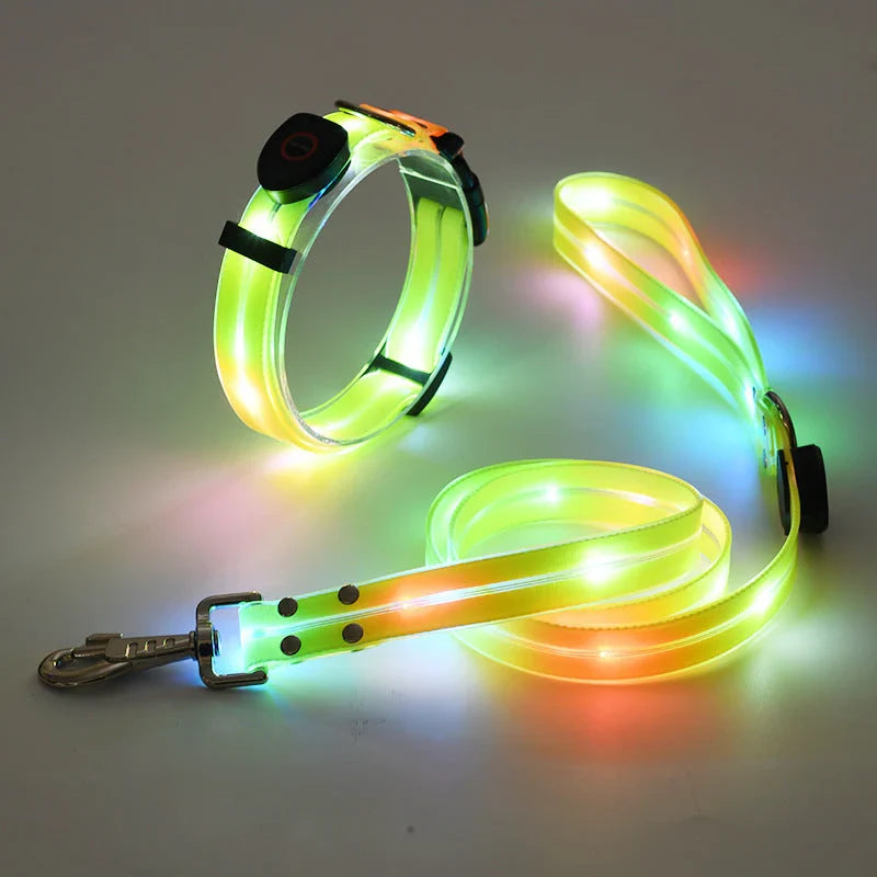 LED Dog Collar & Leash Set – NightBright (Glow-in-the-Dark Safety Gear for Dogs)