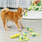 PlayPaw Rope Ball Dog Toy – Dental Chew Toy for Small & Medium Dogs