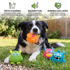 Durable Eco-Friendly Monster Teeth-Cleaning Squeaky Dog Toy