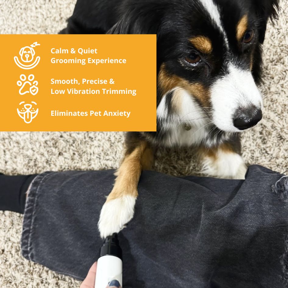 Silent Groom Pro – Ultra-Quiet Pet Grooming Tool