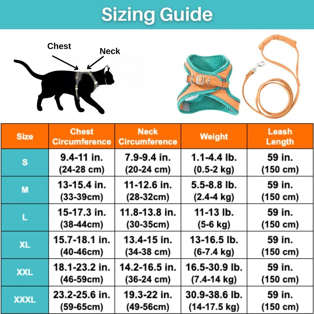 Cat Harness – Safe, Comfortable & Escape-Proof for Outdoor Adventures