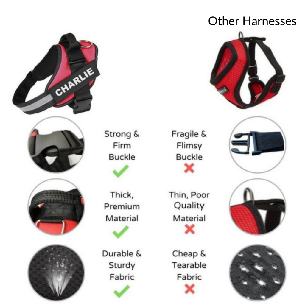 Custom No-Pull Dog Harness with Name & Phone Number — Heavy-Duty Personalized Pet Vest