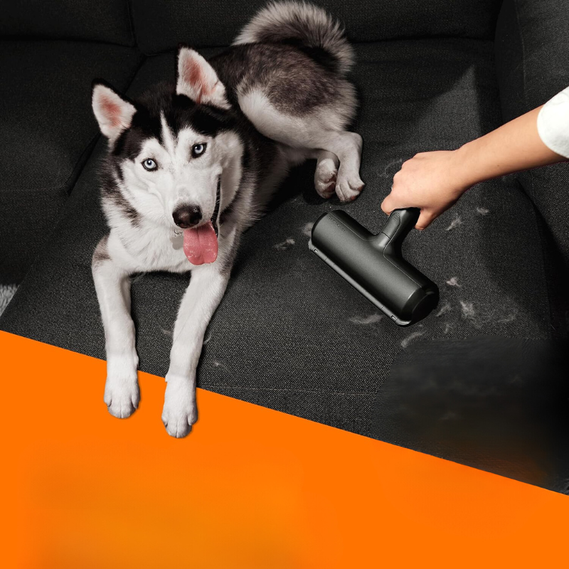 Portable Pet Hair Remover – Works on Couches, Carpets, Clothes & More!