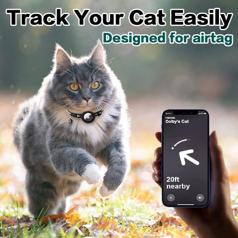 Kitten Collar with Breakaway Buckle & Built-in AirTag Holder